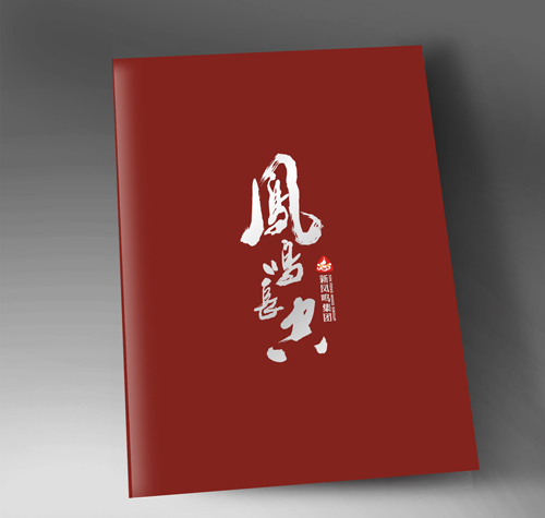嘉興桐鄉(xiāng)新鳳鳴集團(tuán)畫冊設(shè)計(jì)